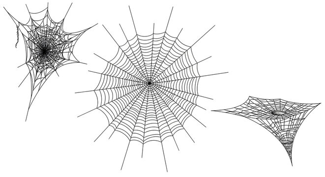 Set of black spider webs isolated on white background spooky halloween vector