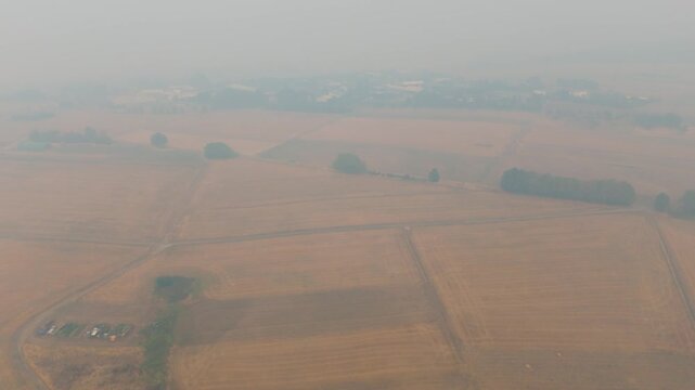 Cloud of smoke drifting toward Trier city, Germany, high fine dust levels, forest fires in High Fens, Belgium and North Rhine Westphalia, wind direction