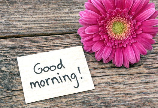 Bright pink gerbera daisy flower next to a good morning greeting card on rustic wooden background