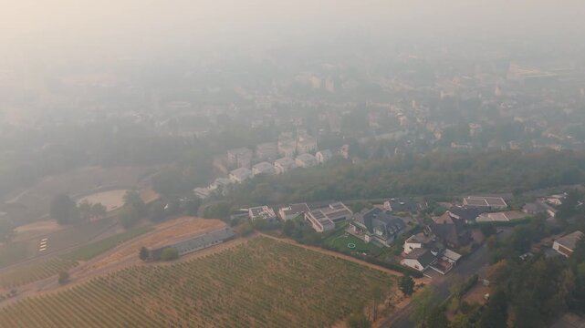 Cloud of smoke drifting toward Trier city, Germany, high fine dust levels, forest fires in High Fens, Belgium and North Rhine Westphalia, wind direction