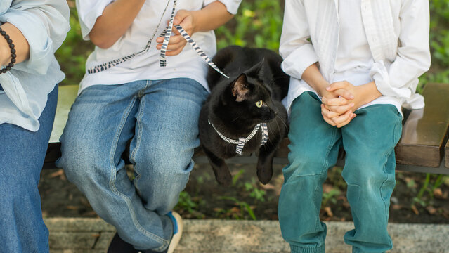 A woman and her two sons are walking a cat.