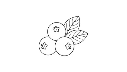 Fototapeta premium Fresh blueberry cluster bunch with textured green leaves thin line art outline sketch flat vector illustration isolated
