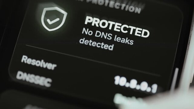 Interactive DNS protection reports no leaks detected