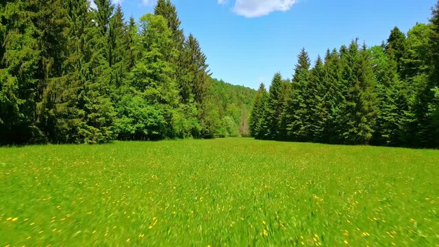 A man practices yoga in a serene forest, harmonizing his movements with nature's rhythm. Surrounded by lush greenery, his meditating breaths promote balance and a healthy lifestyle.