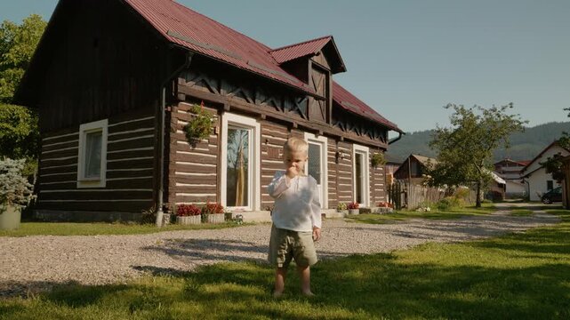A little boy is looking at the camera while sitting on a stone. Behind him is a traditional Romanian house located in Bucovina. The weather is clear and bright.