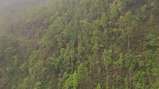 Scenic footage from the Manakamana cable car showing a passenger gondola traveling above densely forested mountain slopes