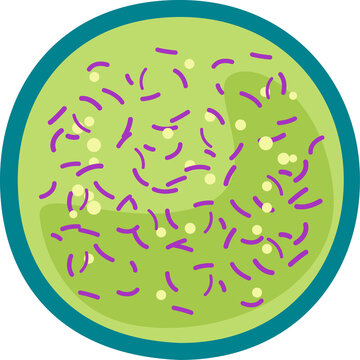 mycobacterium tuberculosis infection disease and symptoms concept