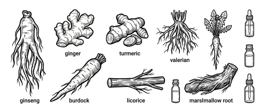 Herbal Roots and Extracts Collection