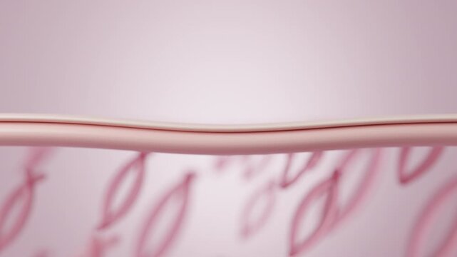 3D skin barrier repair with ceramide elastin and collagen for firm youthful elasticity