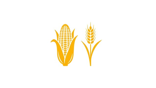 Minimalist yellow icon set featuring stylized corn cob and wheat stalk symbols for agricultural design with showcases minimalist flat stalk isolated