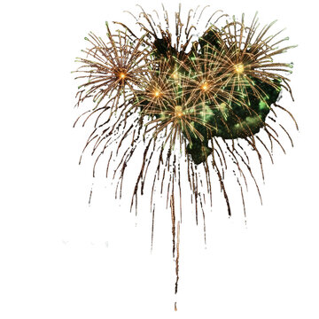 Fireworks exploding in the air.
