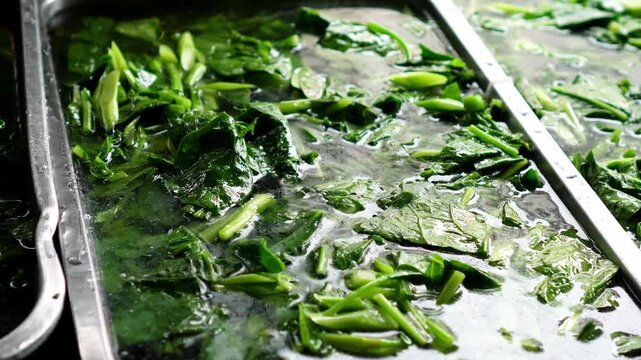 4K Video of Shocking Blanched Chinese Kale in Cold Water to Preserve Freshness