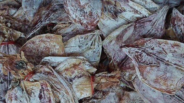Squid, dried squid to be dried in the sun to be stored for a lon