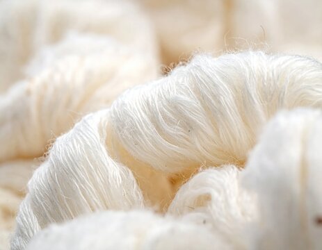 Macro texture of soft white raw wool fibers.