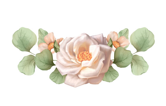 Hand drawn illustration of an elegant floral vignette with a soft white rose and green eucalyptus foliage.