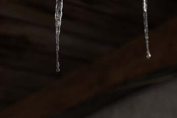 Melting icicles and falling water drops: Close-up of spring thaw on blurred wooden background © Ivan