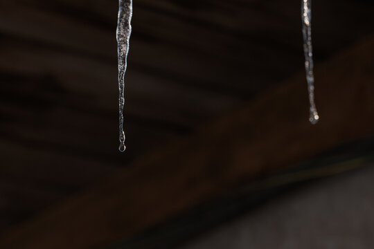 Melting icicles and falling water drops: Close-up of spring thaw on blurred wooden background