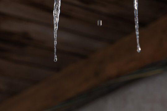 Melting icicles and falling water drops: Close-up of spring thaw on blurred wooden background