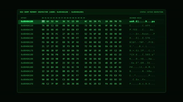 Hexadecimal memory dump inspector with active address byte inspection