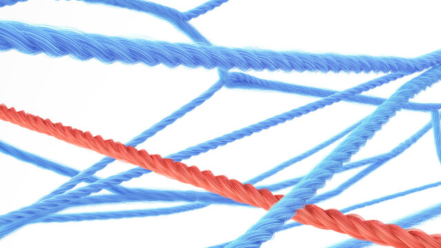 Network of strings, 3d rendering