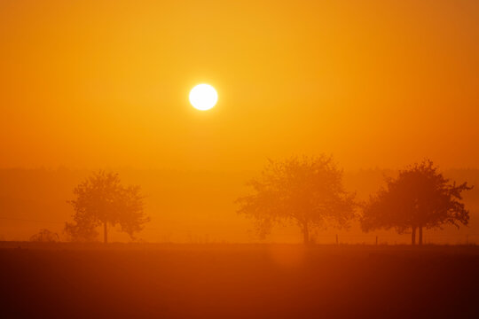 Germany, Bavaria, Lower Bavaria, Altmuehl Valley, sunrise in Jachenhausen