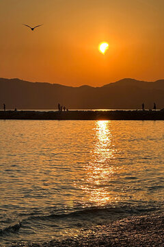 A Seagull Flies Over the Coast with the 2026 Solar Eclipse in the Background during Summer. Chiavari Fishing Village, Genoa Province, Italy