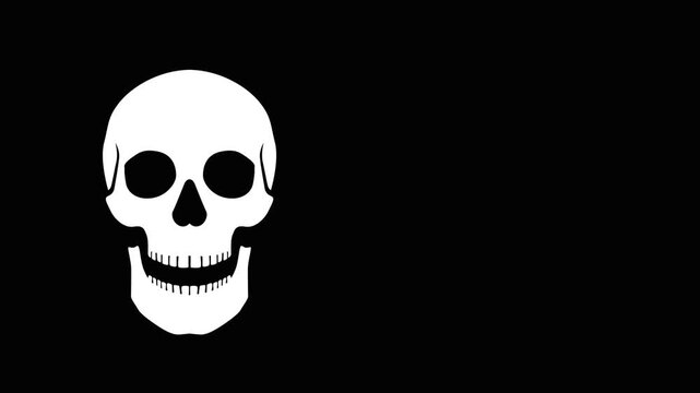 footage skull animation