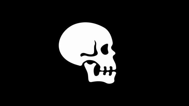 footage skull animation