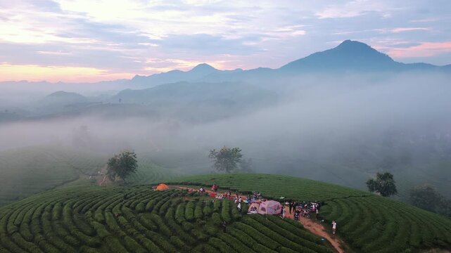 Aerial view of misty morning sunrise over Long Coc tea hills, Phu Tho, Vietnam.