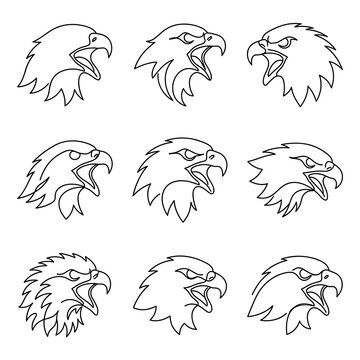 Black and white angry eagle vector outline sketch set showing fierce bird heads with screaming open beaks for tattoo design.