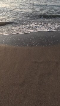 Vertical video close-up view of ocean waves gently rolling onto a sandy beach. The foamy white water contrasts with the brown wet sand as the tide ebbs and flows along the shoreline

