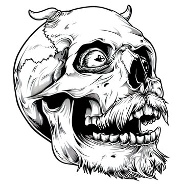 Hand drawn skull with beard illustration