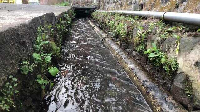 Urban Drainage Channel With Flowing Water, Concrete Gutter And Mossy Pipe Lined With Green Plants