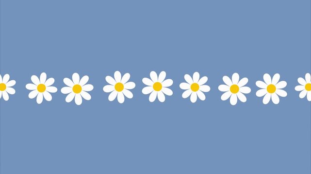 Cute Rotating White Daisy Flower Line Looping Video Background Vector
