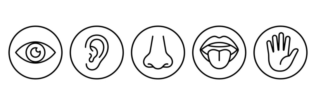 Five human senses icons representing sight hearing smell taste and touch in a minimalist black and white style