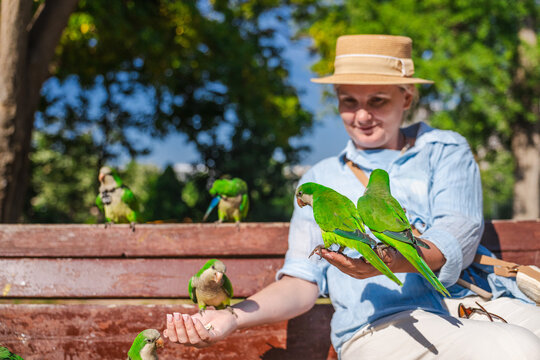 Woman feeding green monk parakeets while relaxing on park bench in Barcelona, cheerful tourist interacting with colorful urban birds on sunny summer day