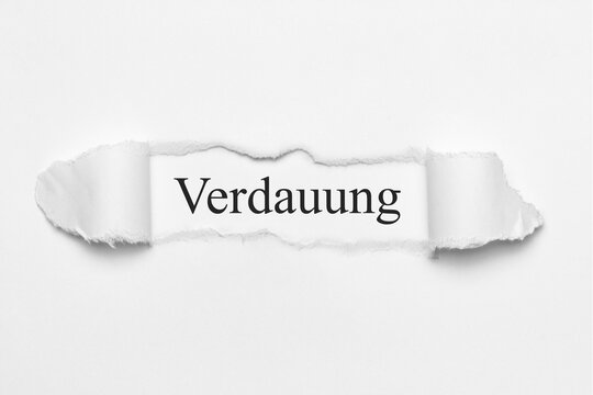 Verdauung	
