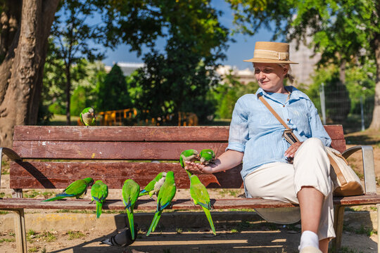 Woman feeding flock of green monk parakeets while relaxing on bench in Barcelona park, tropical urban birds interacting with tourist outdoors