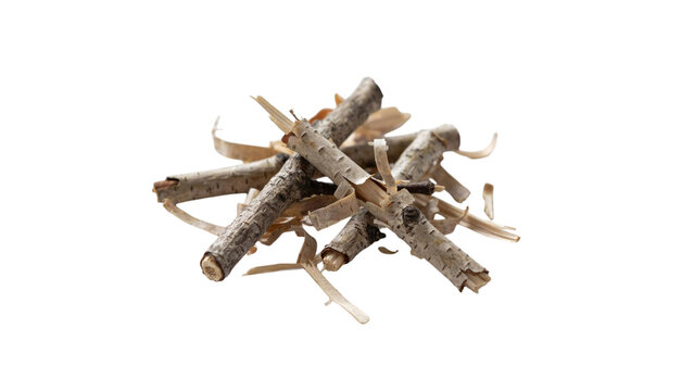 Pile of dry oak leaves with tree branches and acorns isolated on white background for fall season design.