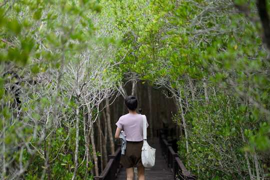 Woman walking on a wooden boardwalk through a green mangrove tunnel