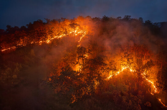 El Nino climate event dries regions and increased wildfire risk.