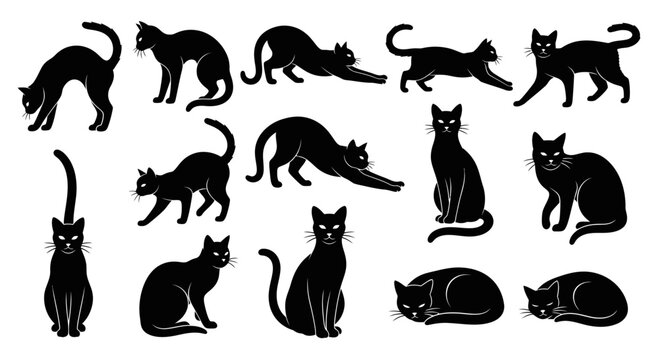 Black cat silhouette collection, set of 13 feline vector icons. Minimalist cat poses in various stances, elegant pet animal graphics for design.