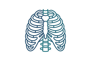 Human Rib Cage Vector Illustration © ahmad