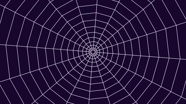 Abstract Rotating Spider Web Line Art Motion Graphics Background