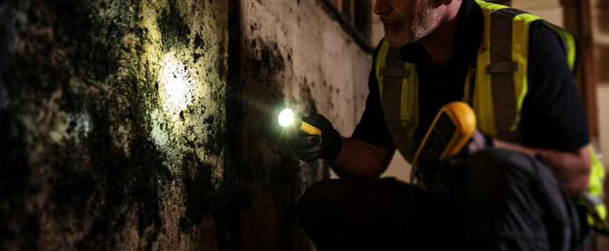 professional home inspector crouching in a dark basement examining a water-damaged concrete wall covered in black mold, 