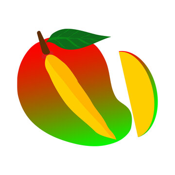 vector illustration of a mango fruit