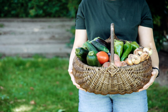 Person holding fresh harvest of garden-grown vegetables, including tomatoes, cucumbers, peppers, potatoes, and onions