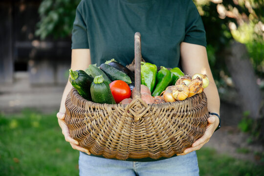 Person holding fresh harvest of garden-grown vegetables, including tomatoes, cucumbers, peppers, potatoes, and onions