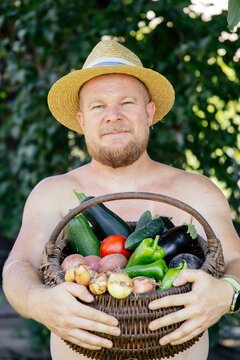 Person holding fresh harvest of garden-grown vegetables, including tomatoes, cucumbers, peppers, potatoes, and onions