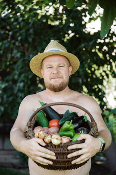 Person holding fresh harvest of garden-grown vegetables, including tomatoes, cucumbers, peppers, potatoes, and onions